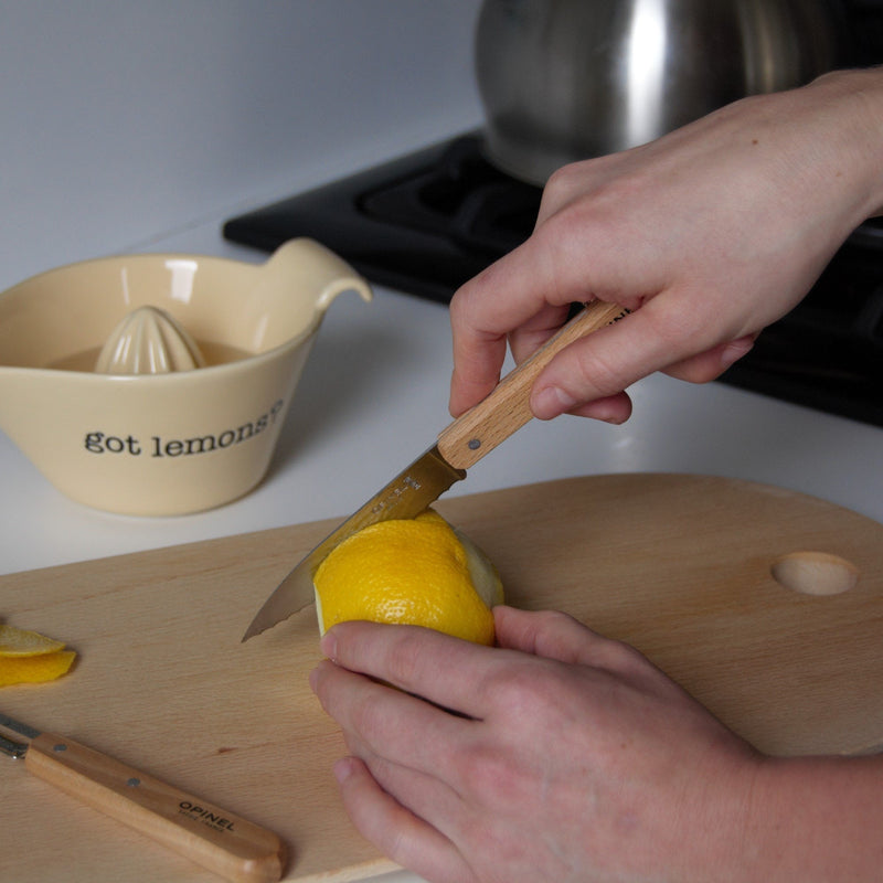 Opinel | Essential Small Kitchen Knife Sets Landscape