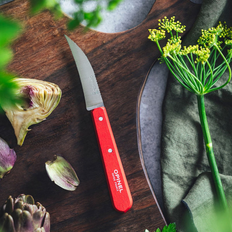 Opinel | Essential Birdsbeak Vegetable Knife, Skyblue