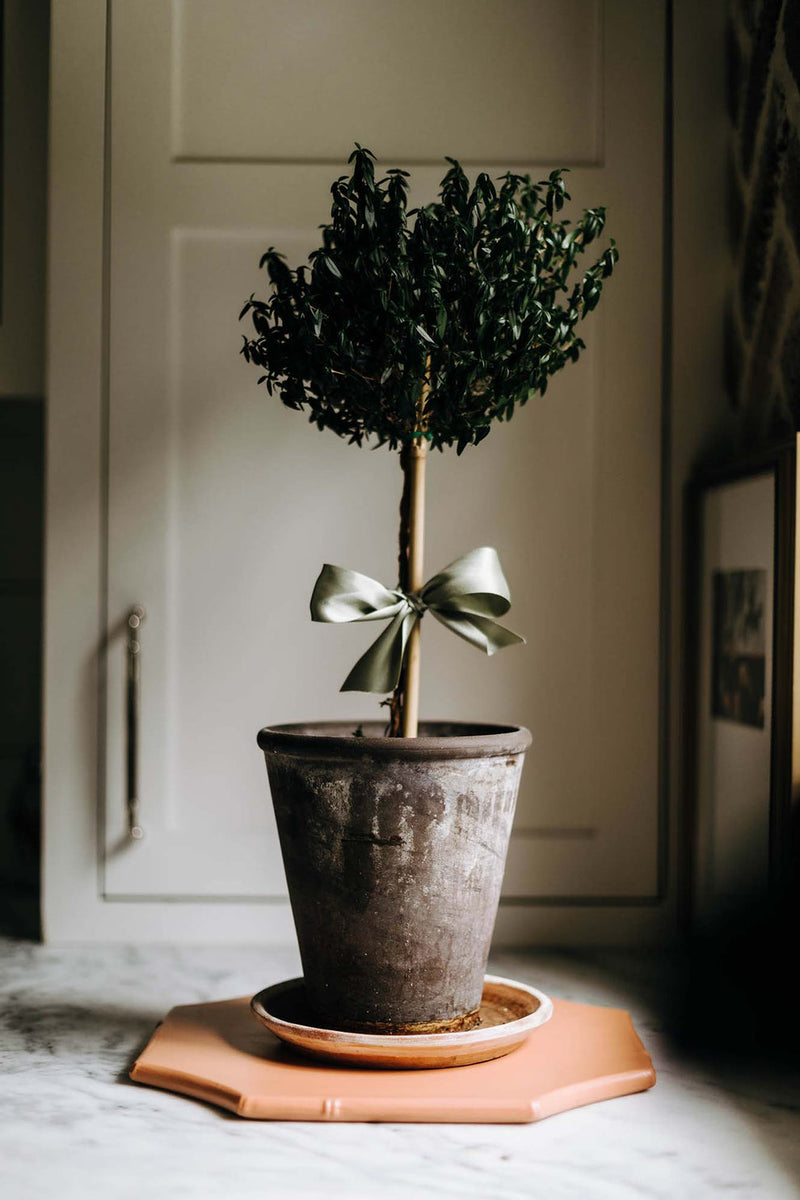 Provvista Designs | Sollevare Charger, Sarah Slate Matte