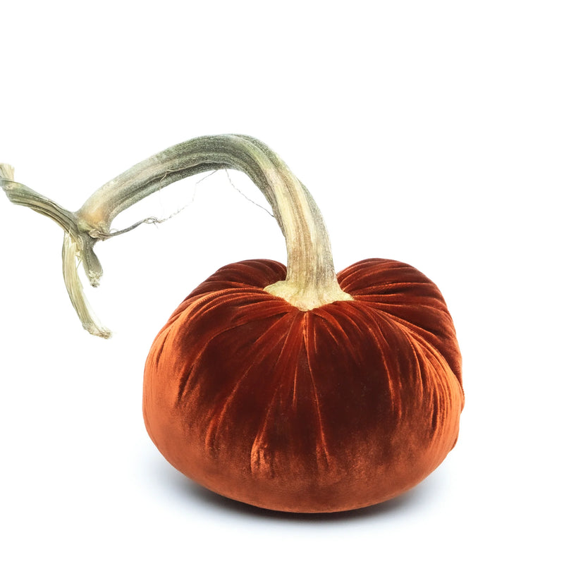 Hot Skwash Silk Velvet Pumpkin - Jumbo, featuring a handcrafted, unique stem, designed by Daria, showcasing luxurious elegance for home decor.