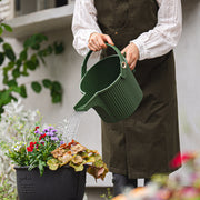 Hachiman Garden Beetle watering can in Garden Green watering plants