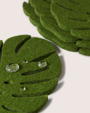 Graf Lantz | Merino Wool Monstera Coaster Set featuring close-up of green leaves, perfect for adding organic glamour to your dining or coffee table.