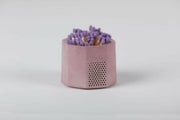 Close-up of Tenn Prairie Match Holders with Striker, featuring a hand-poured concrete holder and approximately 70 matches.