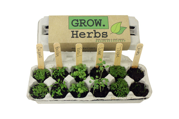 Backyard Safari Company | Herb Garden Grow Kit