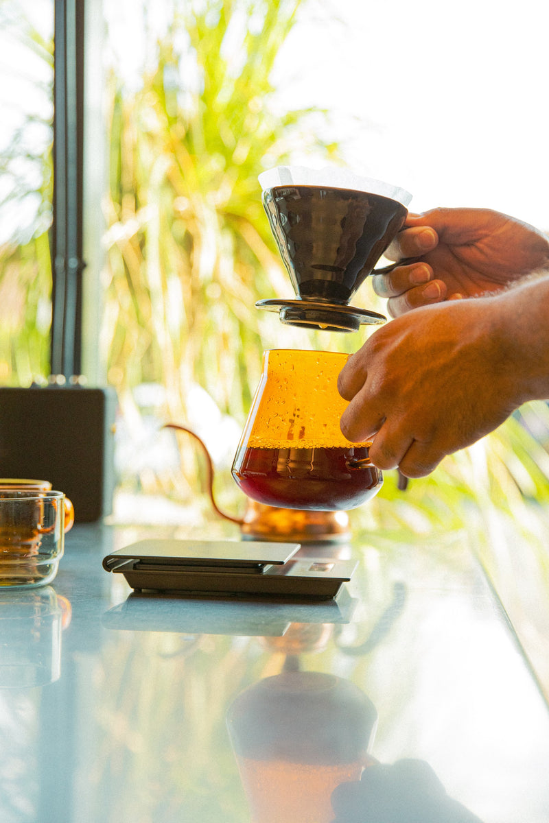 Hario | Glass Coffee and Tea Server 600ml Grey