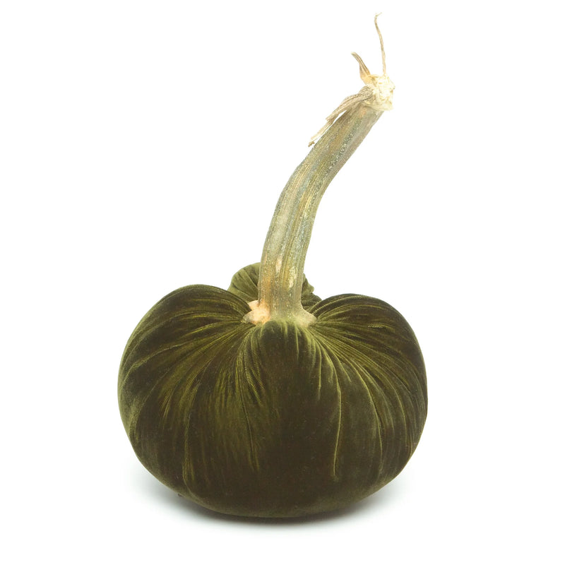 Close-up of a Hot Skwash Silk Velvet Pumpkin in bronze, featuring a unique, naturally sourced stem, highlighting luxury craftsmanship.