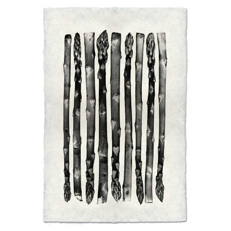 Barloga Studios | Asparagus on Nepalese Hand-Made Paper, 9x14 inches