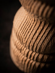 Peugeot | Paris Nature Collection Salt Mill, Nature: Close-up of lathe-turned beech wood with ribbed rings, highlighting the grain and sawdust texture. Features a stainless-steel mechanism.