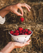 Farmhouse Pottery | Windrow Berry Bowl.