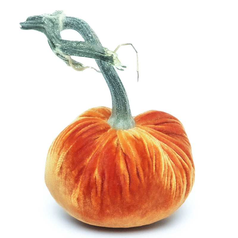 Close-up of a luxurious Hot Skwash silk velvet pumpkin with a unique, naturally sourced stem, handcrafted and signed by Daria, showcasing artisanal elegance.