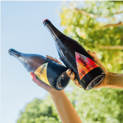 Three Spirit | Botanical Social Elixers, Livener