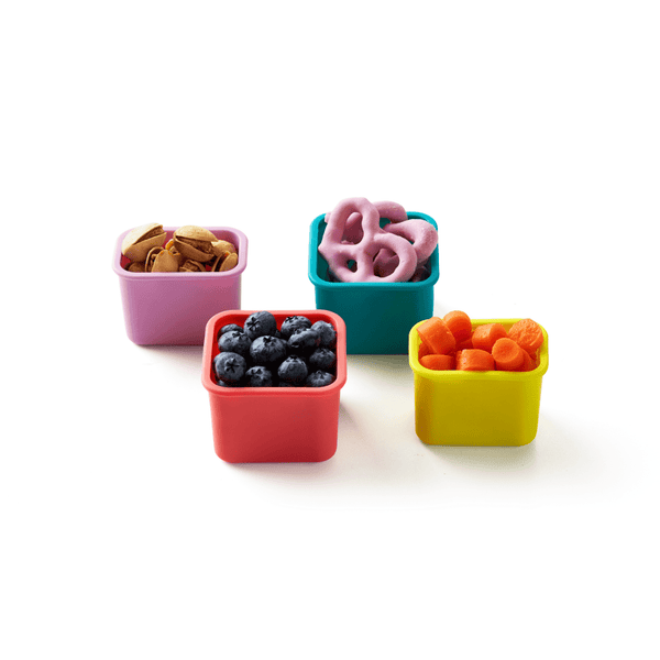 PlanetBox | Pods 4 Pack-Rover, Blossom