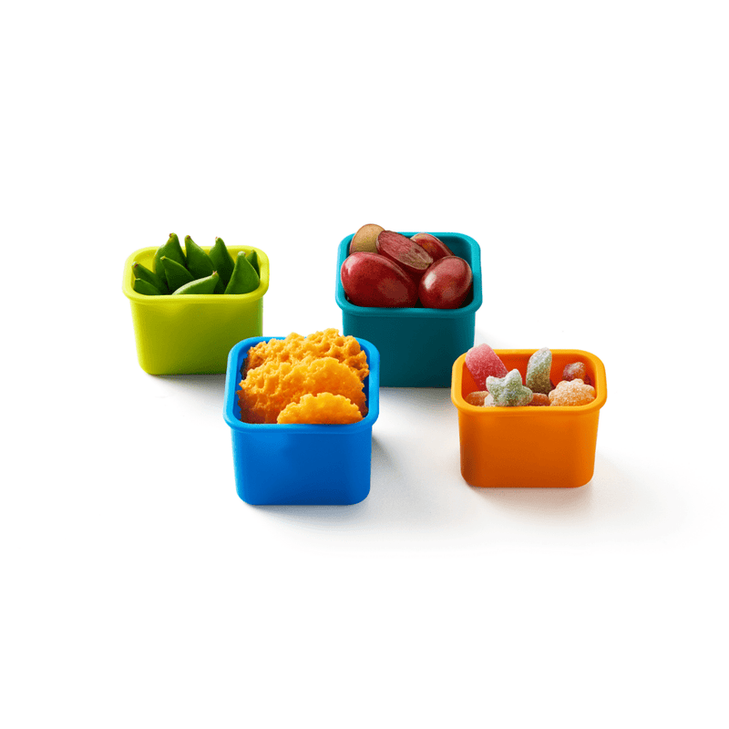 PlanetBox | Pods 4 Pack-Rover, Everglades