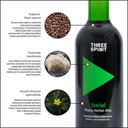 Three Spirit Social Elixir bottle with cacao, Lion’s Mane, and damiana call-outs, promoting a non-alcoholic mood-boosting beverage.