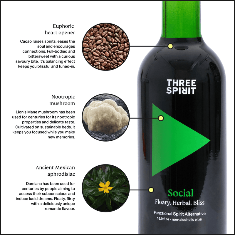 Three Spirit Social Elixir bottle with cacao, Lion’s Mane, and damiana call-outs, promoting a non-alcoholic mood-boosting beverage.