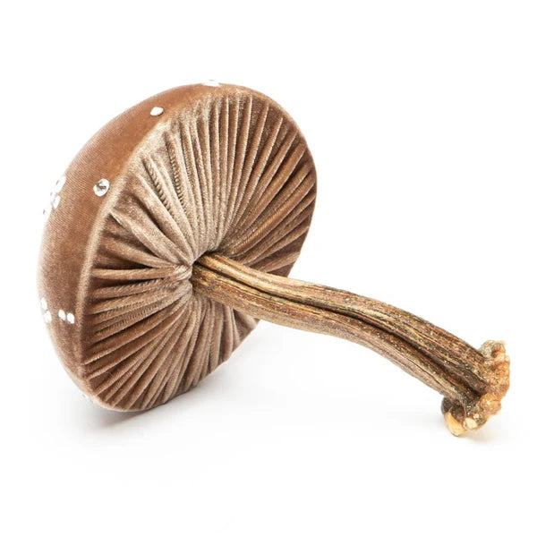 Hot Skwash | Silk Velvet Mushrooms - Fire set featuring handcrafted mushrooms with natural pumpkin stems, adding whimsical charm to home decor. Ideal for seasonal accents or gifts.