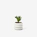 Areaware | Stacking Planters.