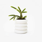 Areaware | Stacking Planters.