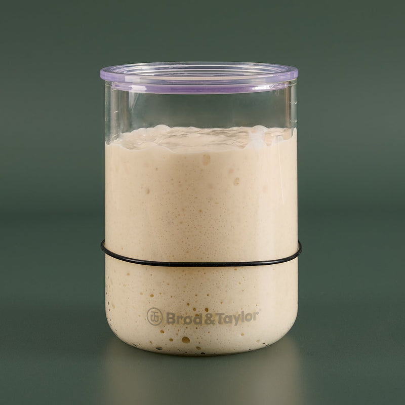 Brod & Taylor | Sourdough Starter Jar