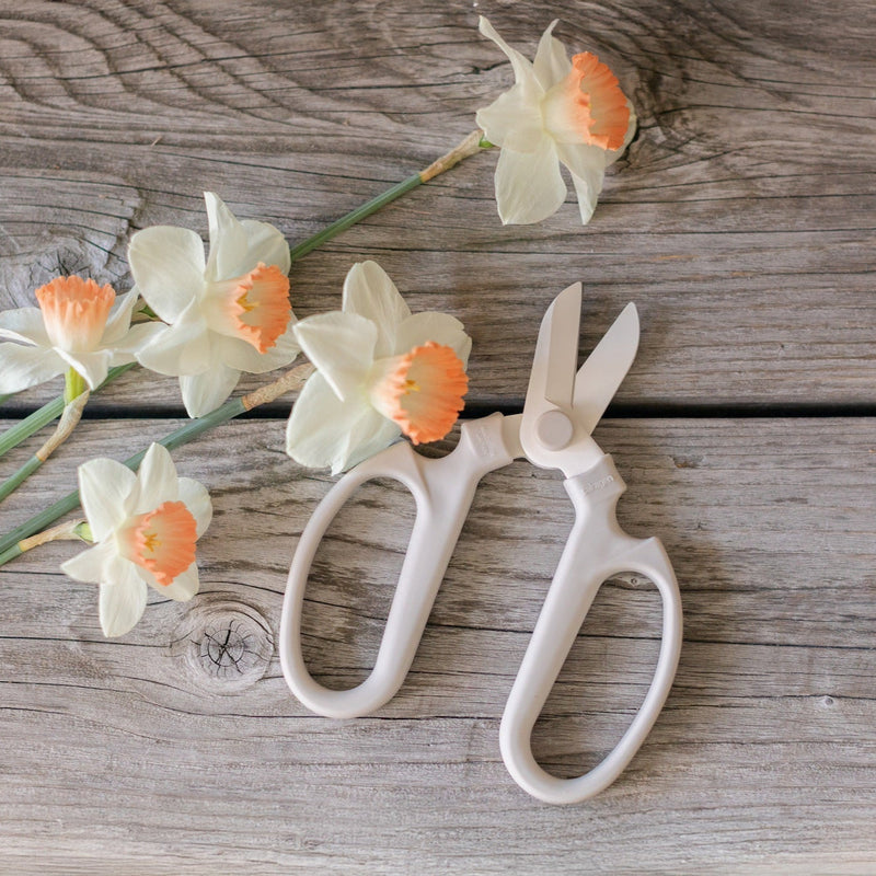 The Floral Society | Japanese Floral Clippers, Citrine