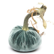Hot Skwash | Silk Velvet Pumpkin - Wedgwood 3 Inches, featuring a unique, handpicked pumpkin stem for an elegant, handcrafted decor piece.