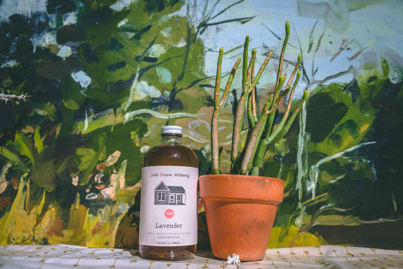 Pink House Alchemy - Lavender Simple Syrup bottle beside a potted plant, embodying aromatic and calming lavender essence.