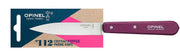 Opinel | Essential Birdsbeak Vegetable Knife in retail packaging with stainless-steel blade and burgundy handle, ideal for precise kitchen tasks like peeling and slicing.