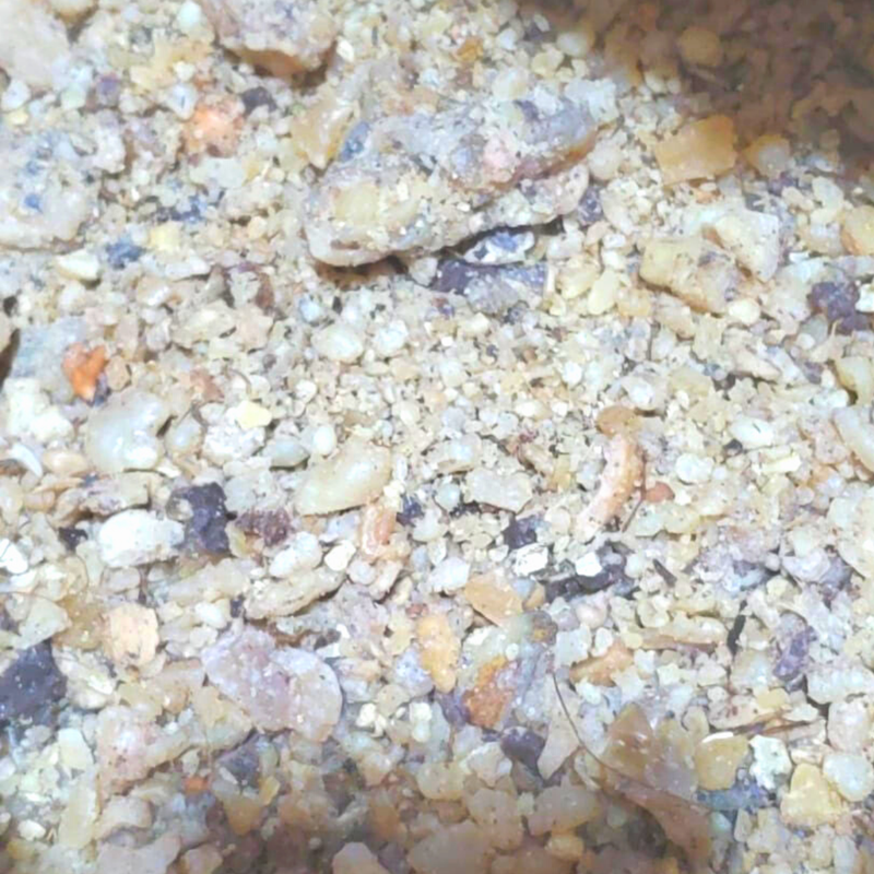 Burlap & Barrel | Wild Hing (Asafoetida)