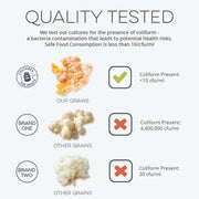 Cultures for Health | Milk Kefir Grains.