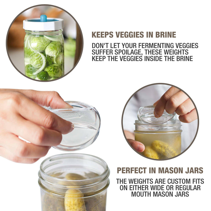 Masontops | Glass Fermentation Weights