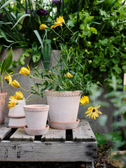 Bergs Potter Inc | Helena Rosa.