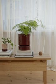 Bergs Potter | Hoff Glazed Collection - Quartz Rose Saucer, showcasing a minimalistic terracotta design with hand-dipped glaze, ideal for stylish indoor plant displays.