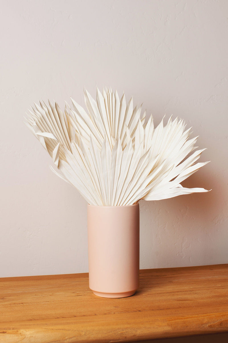 Idlewild Floral Co. | Preserved Cedar
