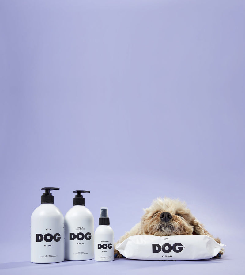 DOG By Dr Lisa | Slicker Brush