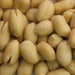 Feridies | Super Extra Large Salted Virginia Peanuts.