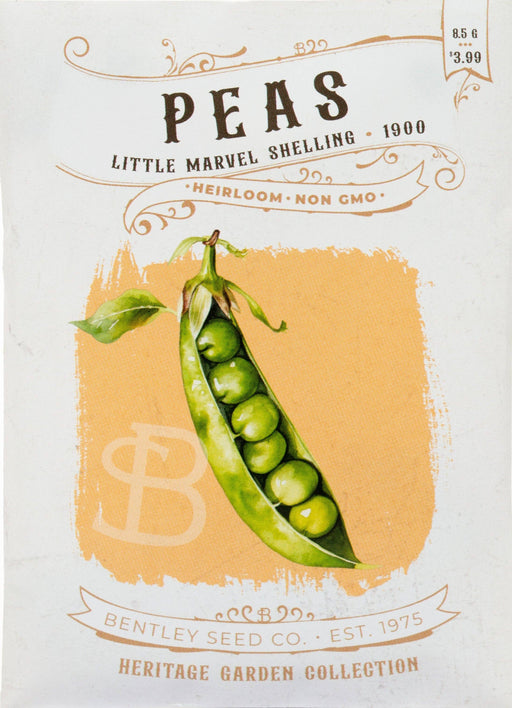 Bentley Seed Co. - Peas-Little Marvel Shelling 1900 vintage-style packet, heirloom, non-GMO, features artwork of an open pea pod with six peas, priced at $3.99.