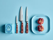 Wüsthof | CLASSIC TASTY SUMAC 3 1/2 Paring Knife displayed with a tomato, highlighting its precision blade, ideal for detailed food preparation.