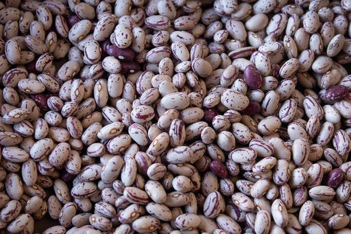 Rancho Gordo | Cranberry Bean: A close-up of white and purple cranberry beans, ideal for soups and pasta dishes, highlighting their rich texture and culinary versatility.