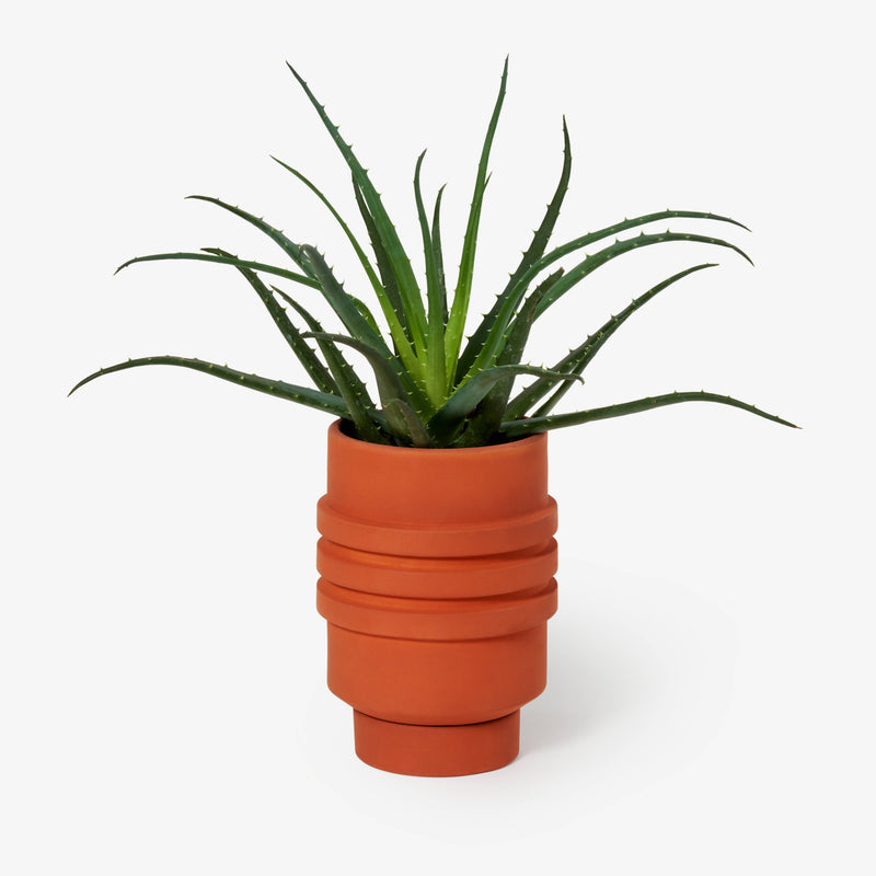 Areaware - Strata Plant Vessel: Green, featuring a ceramic planter with stacked shapes and a concealed saucer, inspired by Simone Brewster’s sculptural design heritage.