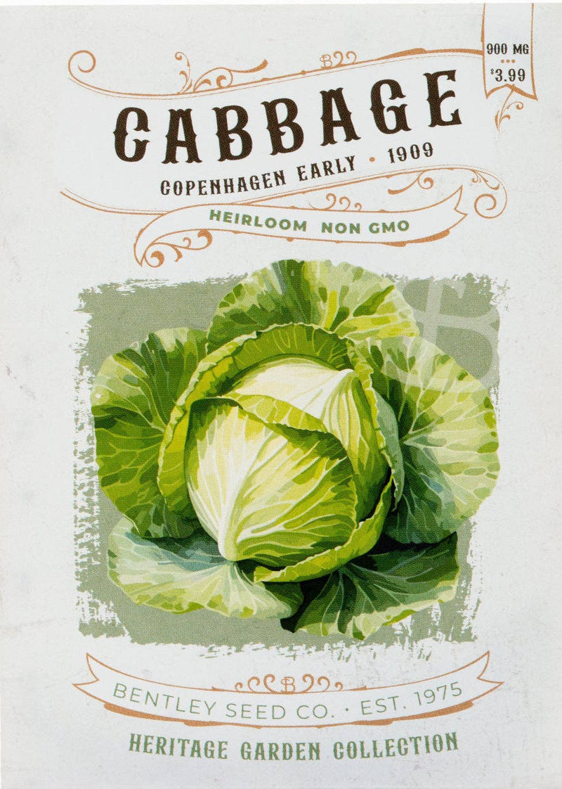 Bentley Seed Co. - Cabbage-Copenhagen Early 1909 packet with illustrated cabbage, 900 mg, $3.99, 350-355 seeds, ideal for gardens, non-GMO heirloom variety.