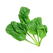 Cluster of fresh spinach leaves from Bentley Seed Co. - Spinach-Bloomsdale Savory 1820, ideal for salads and cooking, reflecting Athens Cooks' dedication to quality ingredients.