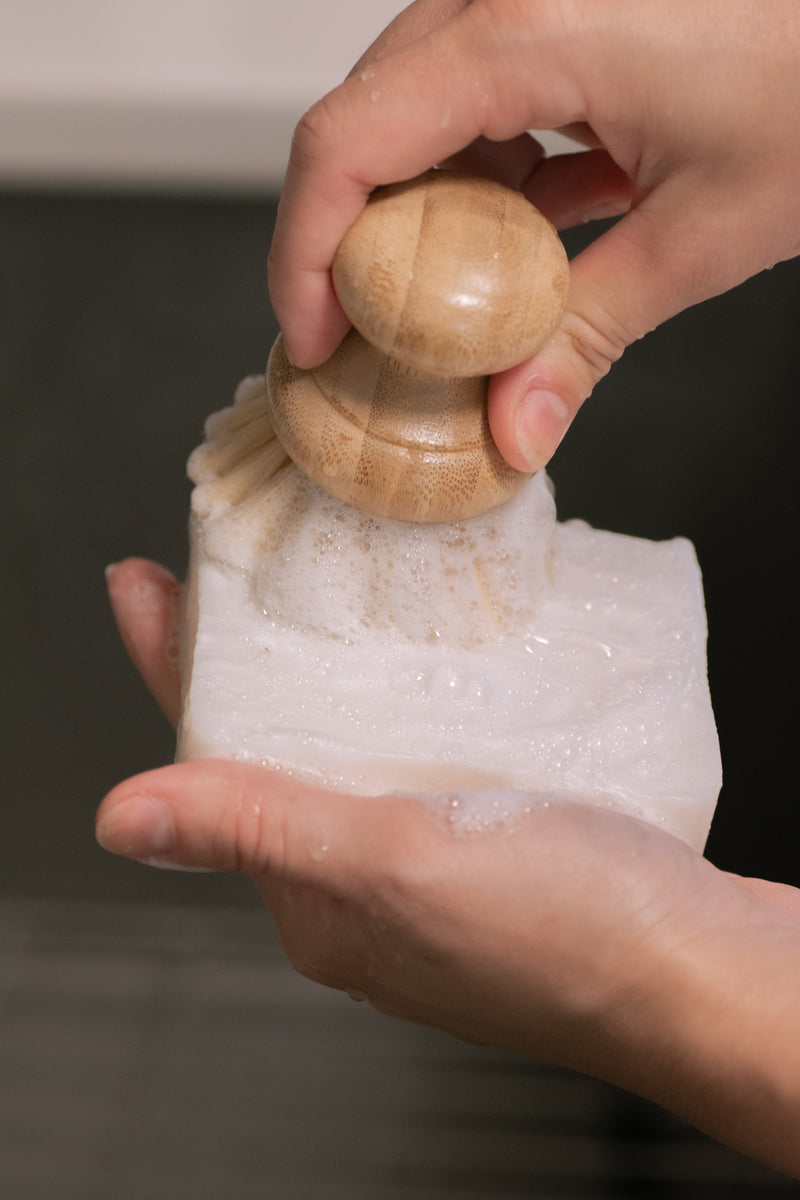 No Tox Life | DISH BLOCK® Huge Solid Dish Soap