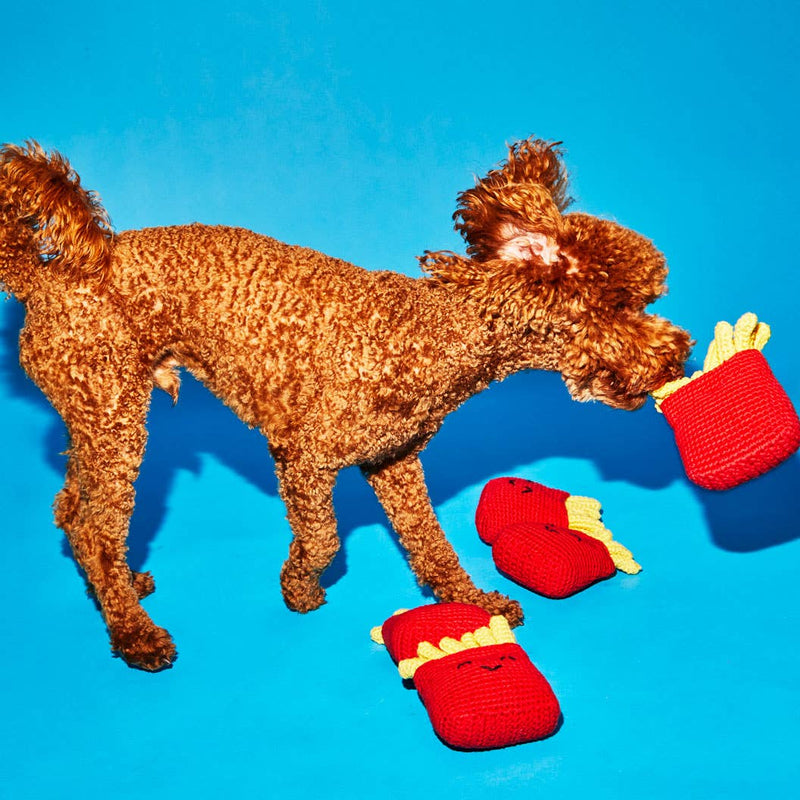Curly-coated dog plays with Ware of the Dog - Hand Knit French Fries Dog Toy, crafted from lambswool with a squeaker, fair-trade from Nepal.