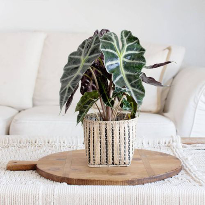 NEEPA HUT | Pot Woven Basket Storage Organizer Natural