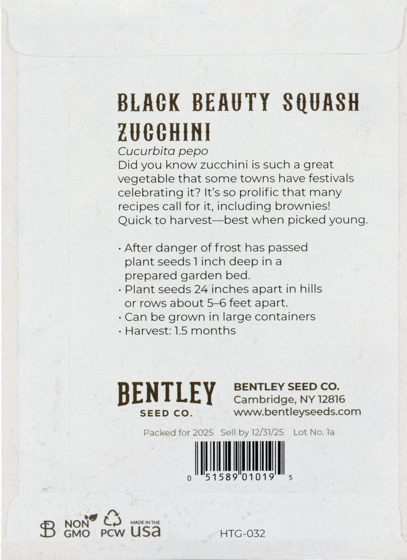 Bentley Seed Co. - Zucchini-Black Beauty Squash 1957 seed packet back detailing planting instructions, harvest time, and use in versatile recipes like brownies. Non-GMO, recycled packaging included.