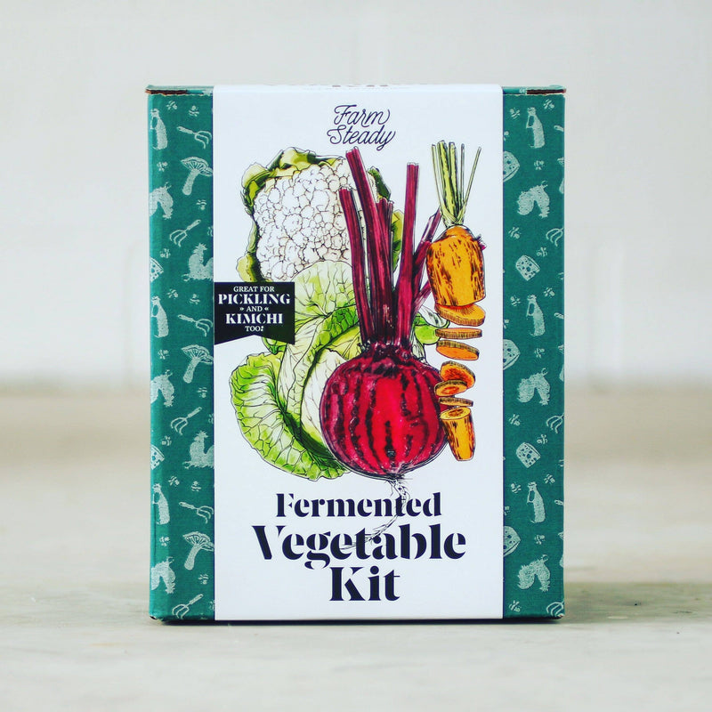 FarmSteady - Fermented Vegetable Kit with glass jar, airlock lid, fermentation weight, and kosher salt, ideal for healthy vegetable lacto-fermentation.