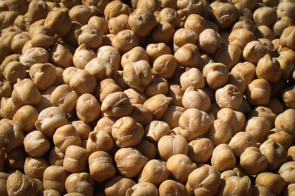 Rancho Gordo | Garbanzo Chickpea Bean