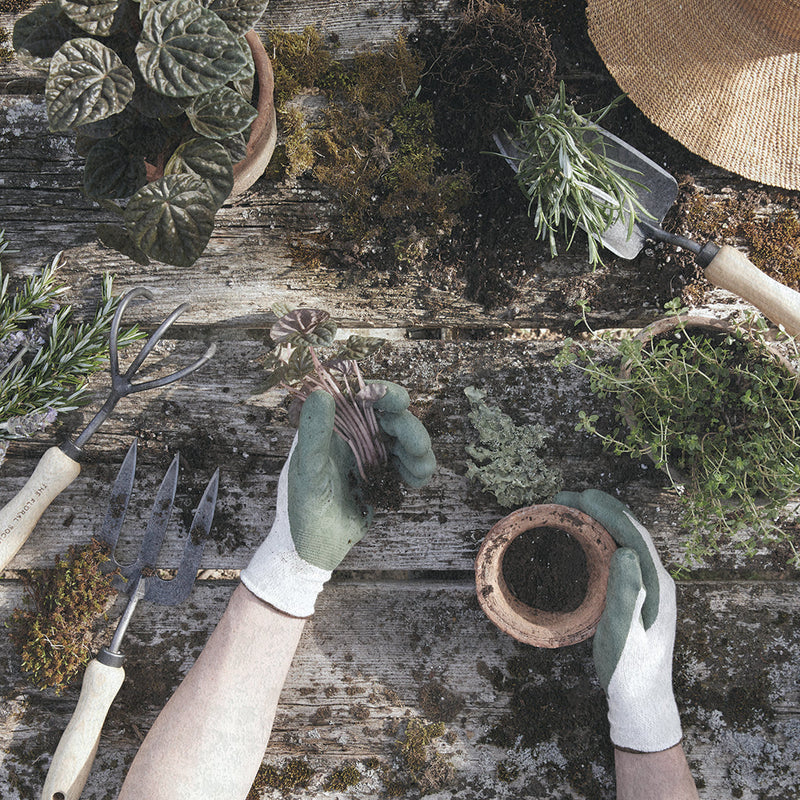 The Floral Society | Garden Tools, 3 Tine Cultivator