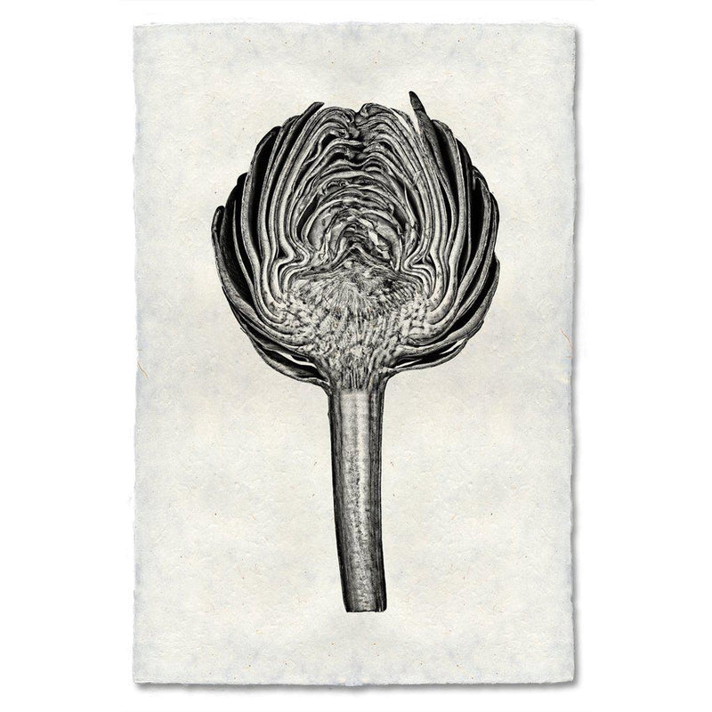 Barloga Studios | Artichoke on Nepalese Hand-Made Paper, 9x14 inches