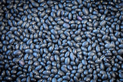 Rancho Gordo | Midnight Black Bean: A pile of rich, versatile black turtle beans, known for their creamy interior and thin skin, ideal for flavorful cooking.